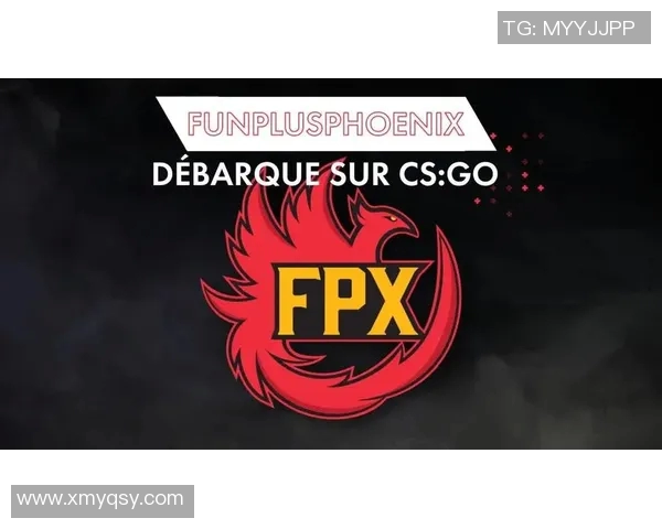 深入分析FPX在CSGO中阵地战的战术运用与团队配合策略