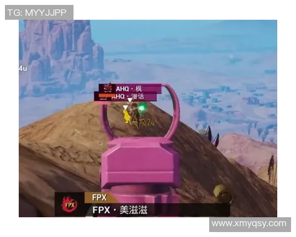 热议和平精英FPX团队协作变革背后的策略与启示