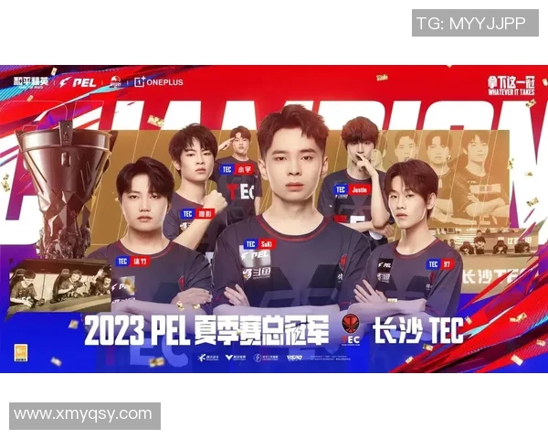 2026电竞新闻和平精英战术揭秘TES团队的制胜之道与策略分析